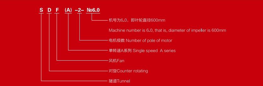 图foto 21